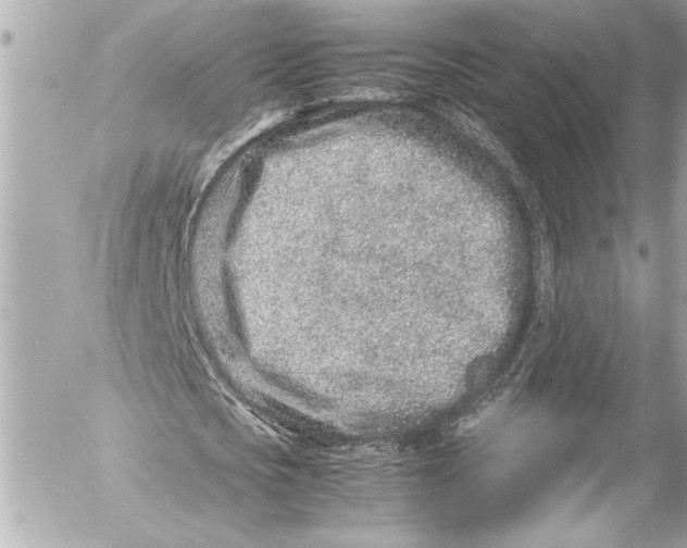 X0000054470721200508191727