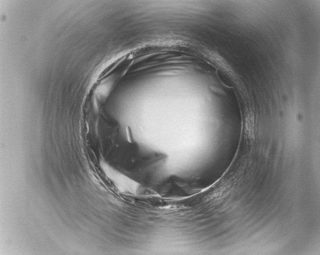 X0000054470724200508191727