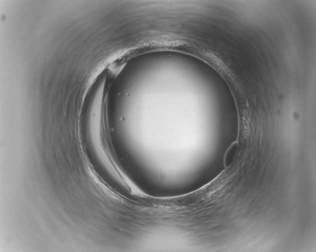 X0000054470726200508191727