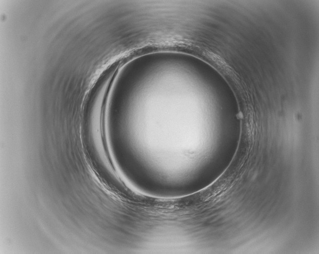 X0000054470728200508191727