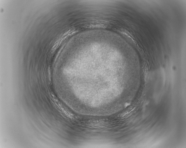 X0000054470729200508191727