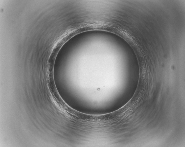 X0000054470730200508191727