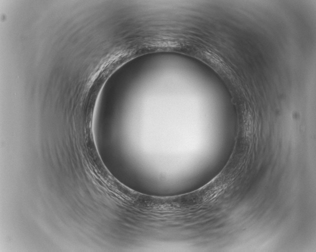 X0000054470731200508191727