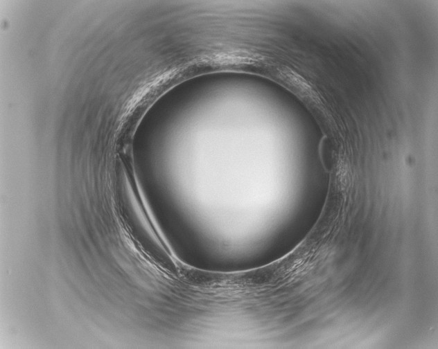 X0000054470732200508191727