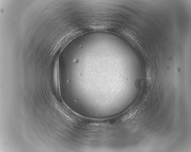 X0000054470733200508191727