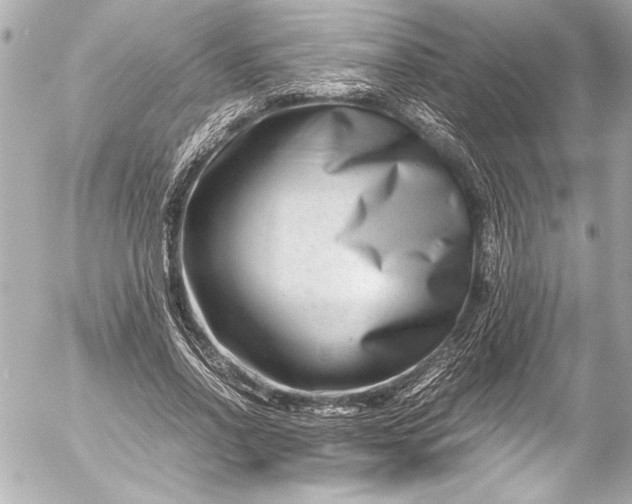 X0000054470734200508191727