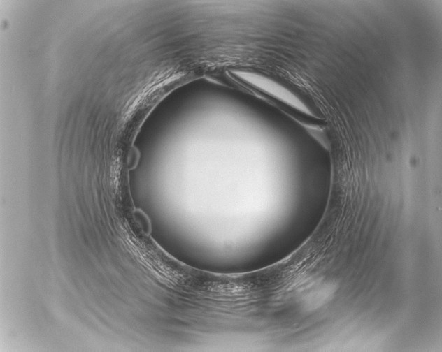 X0000054470735200508191727