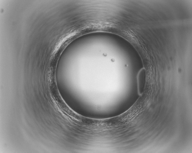 X0000054470736200508191727