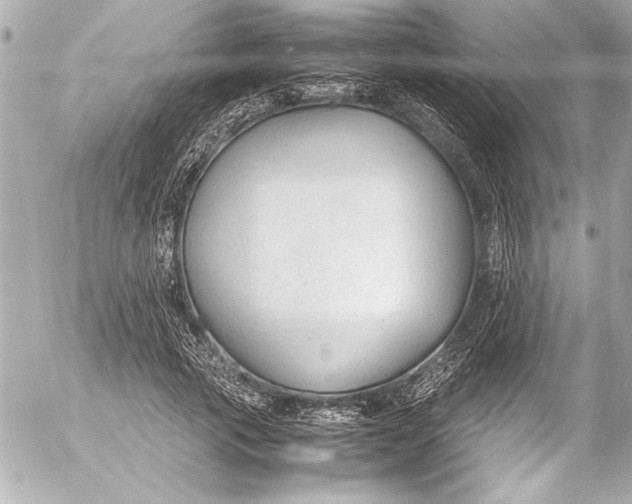 X0000054470737200508191727