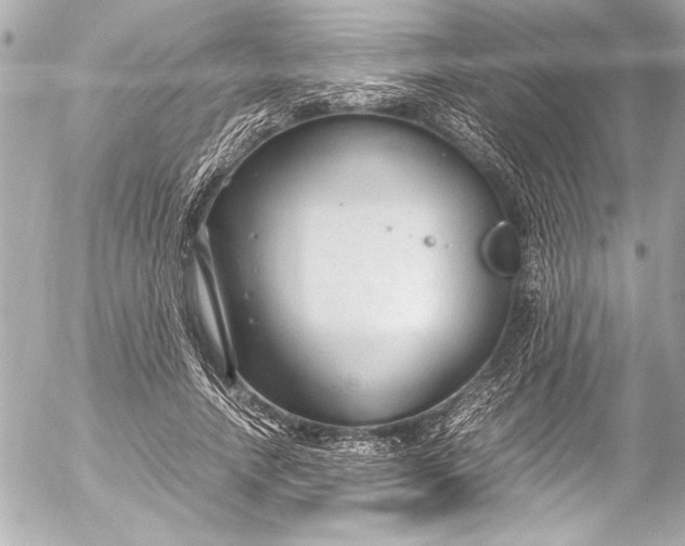 X0000054470738200508191727