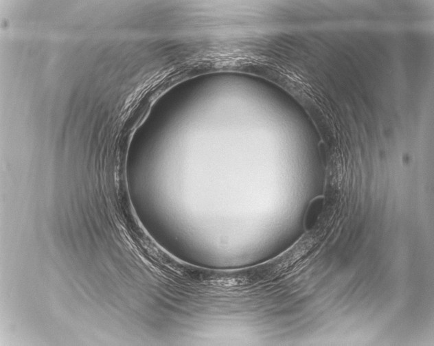 X0000054470740200508191727