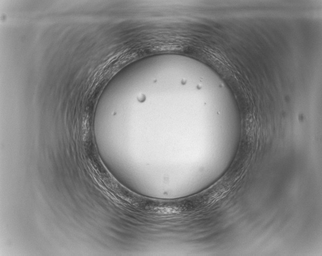 X0000054470741200508191727