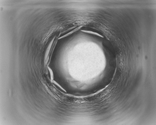 X0000054470742200508191727