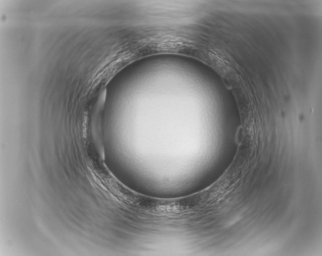 X0000054470744200508191727