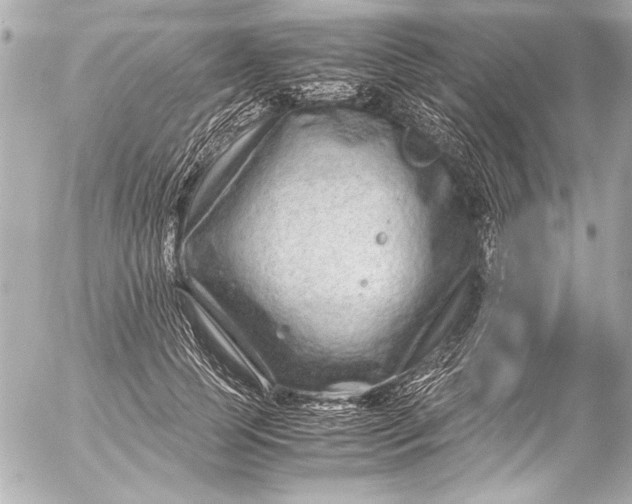 X0000054470745200508191727