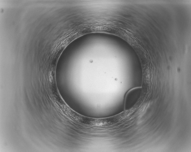 X0000054470746200508191727