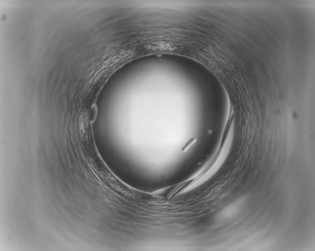 X0000054470747200508191727