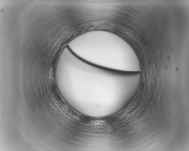 X0000054470748200508191727