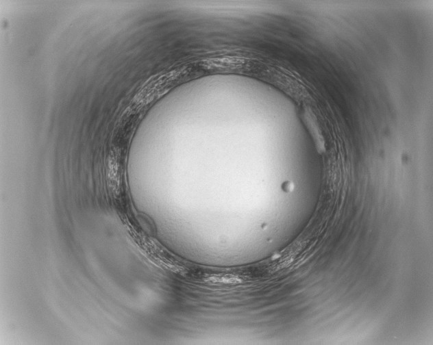 X0000054470749200508191727