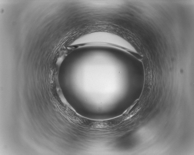 X0000054470750200508191727