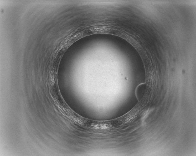 X0000054470751200508191727