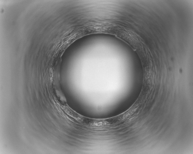 X0000054470752200508191727