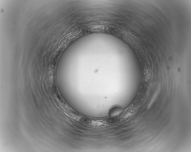 X0000054470753200508191727