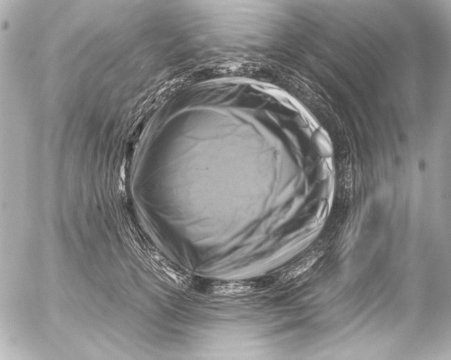 X0000054470754200508191727