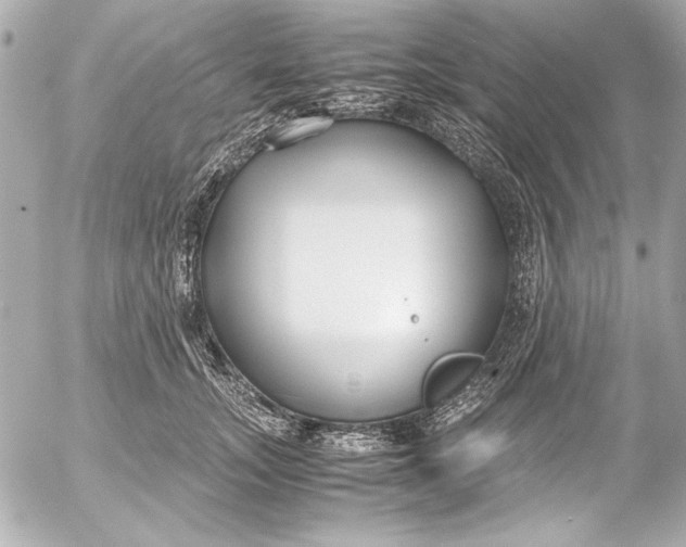 X0000054470755200508191727