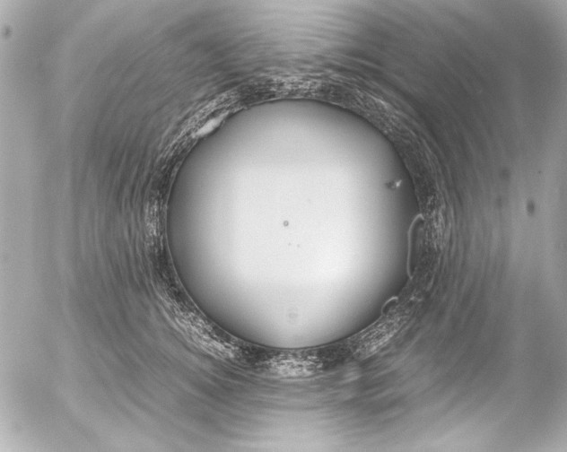 X0000054470756200508191727