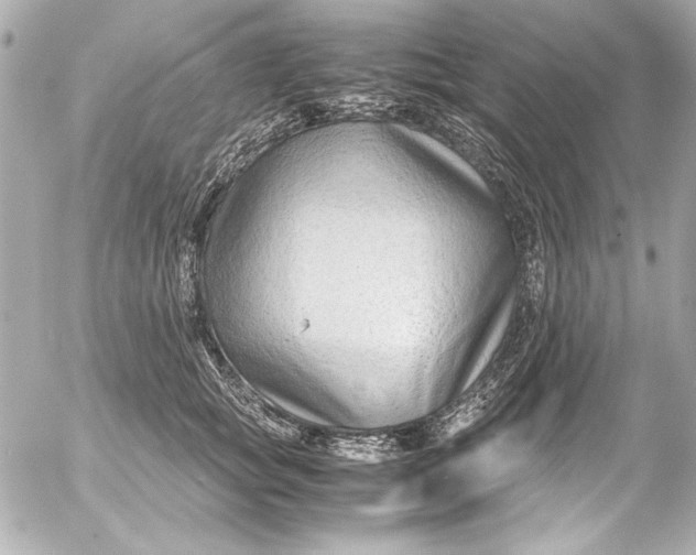 X0000054470757200508191727