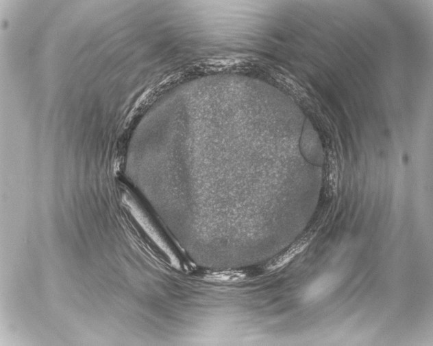 X0000054470758200508191727