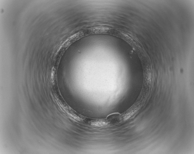 X0000054470759200508191727