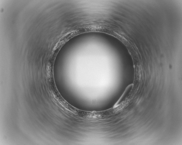 X0000054470760200508191728