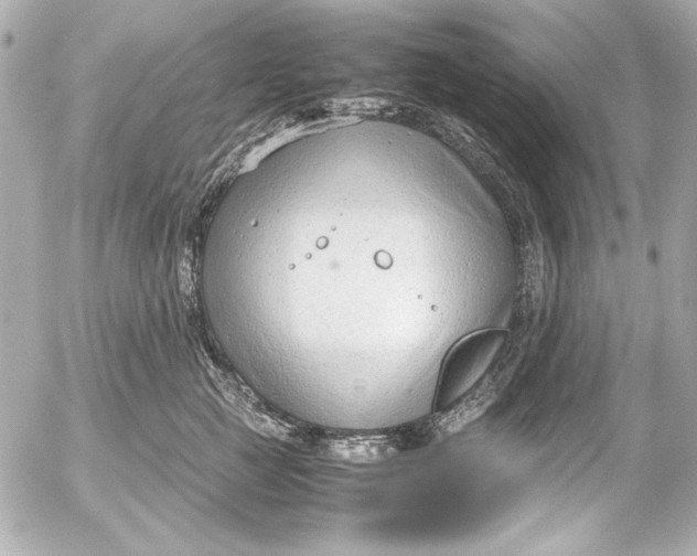 X0000054470761200508191728