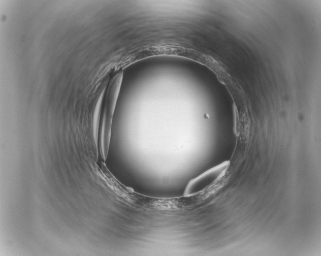 X0000054470762200508191728