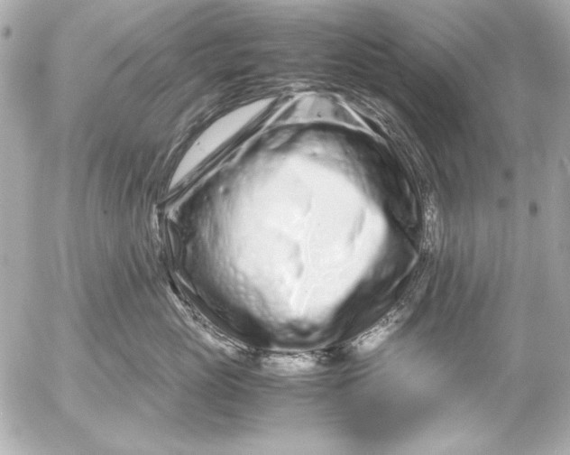 X0000054470765200508191728