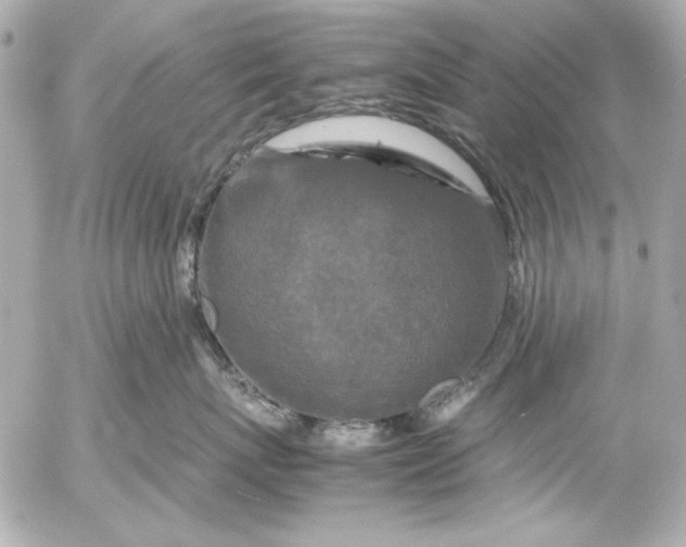 X0000054470767200508191728