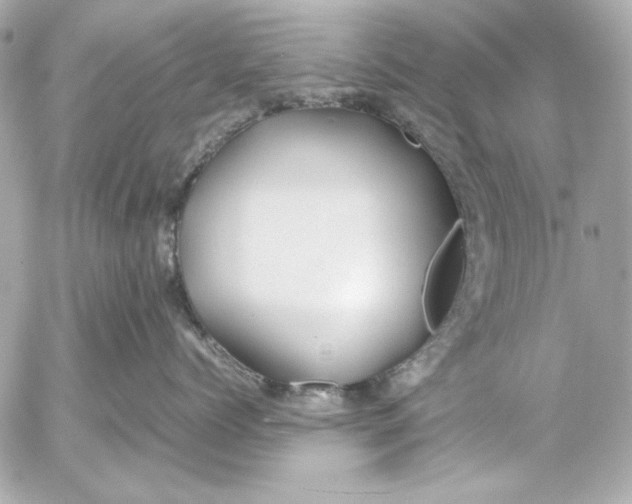 X0000054470768200508191728