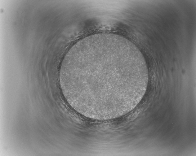 X0000054470769200508191727