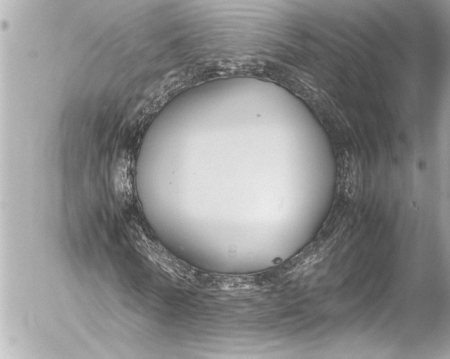 X0000054470770200508191727