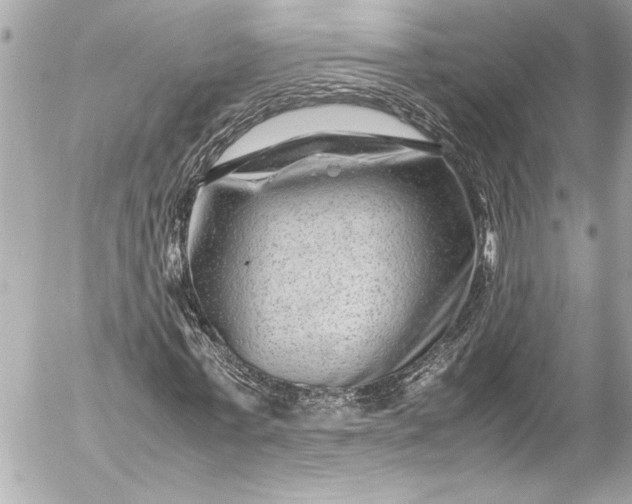 X0000054470771200508191727