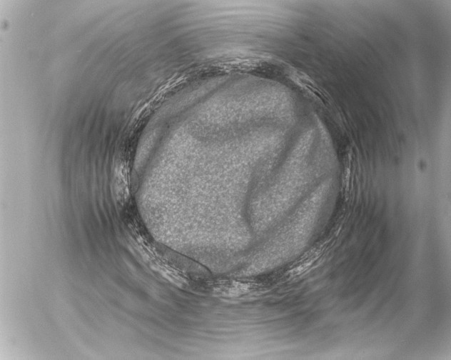 X0000054470772200508191727