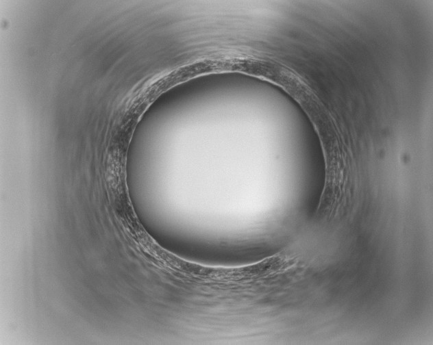 X0000054470773200508191727