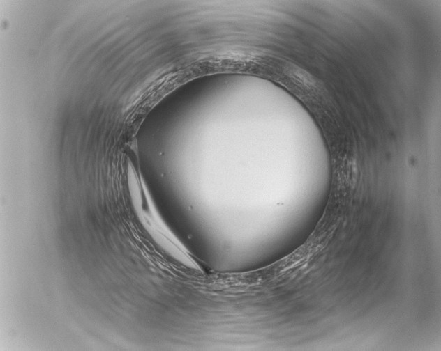 X0000054470774200508191727