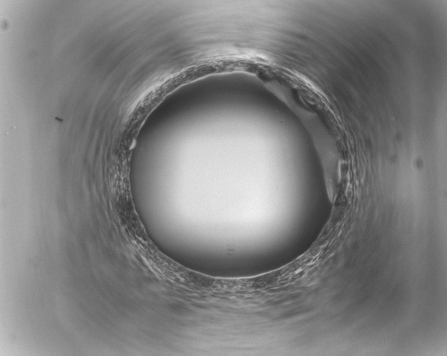 X0000054470775200508191727