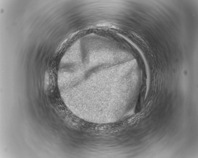 X0000054470776200508191727