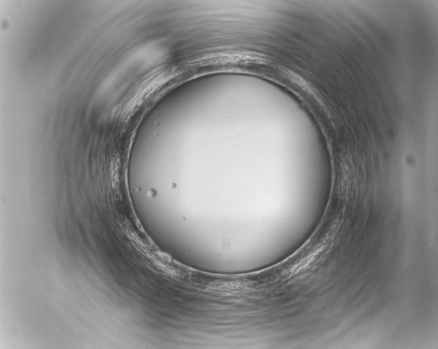 X0000054470778200508191727