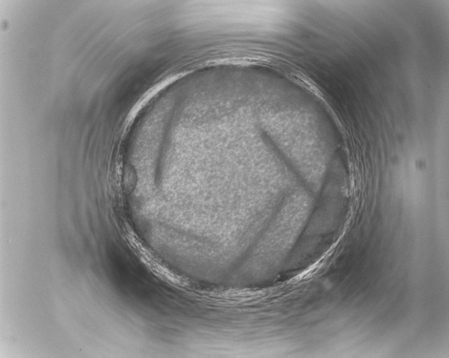 X0000054470779200508191727