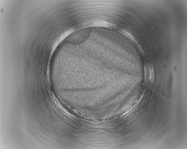 X0000054470780200508191727